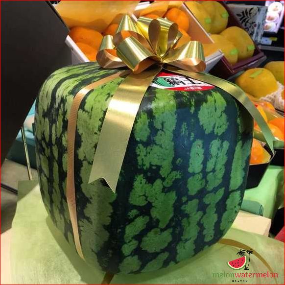How Much is a Square Watermelon? Discover the Price and Where to Buy