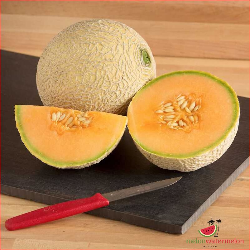 What is a sugar cube melon: Everything you need to know