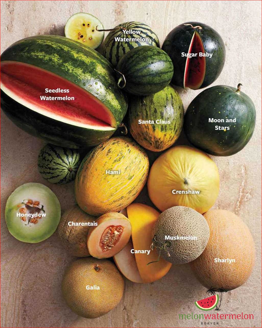 What Is A Yellow Melon A Guide To This Delicious Fruit Updated July What Is A Yellow Melon A Guide To This Delicious Fruit Updated July