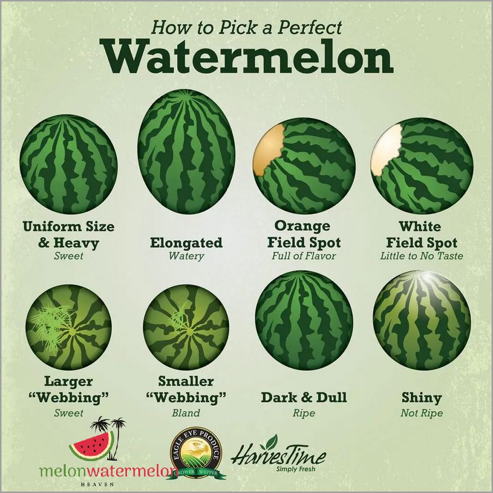 How to Choose the Perfect Watermelon Variety for Your Taste