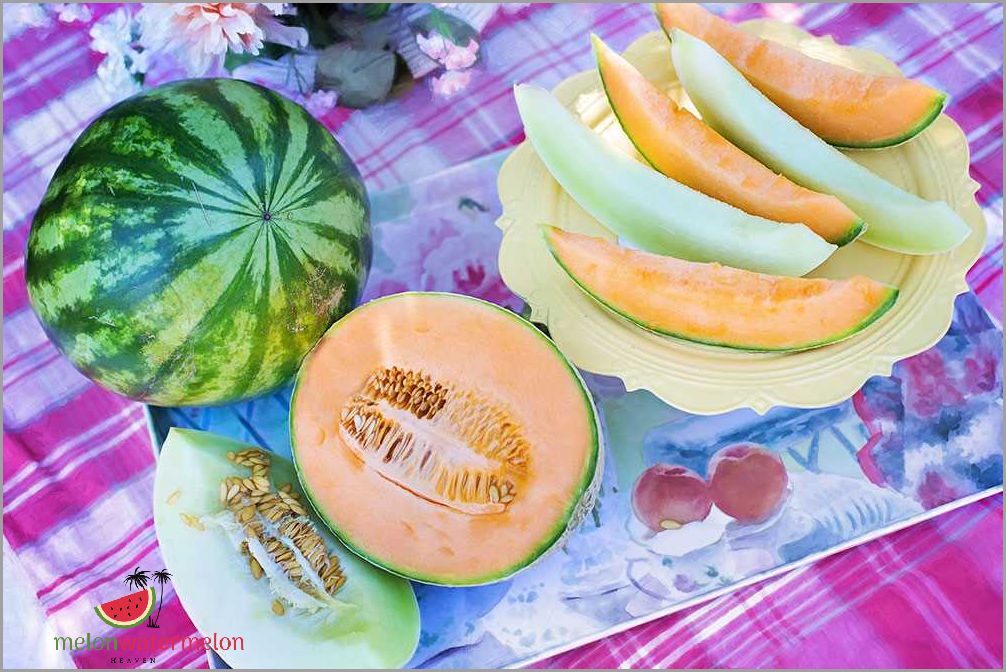 Tips for Growing Melon in Maine