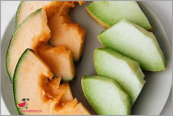 Tips for Growing Melon in Nebraska