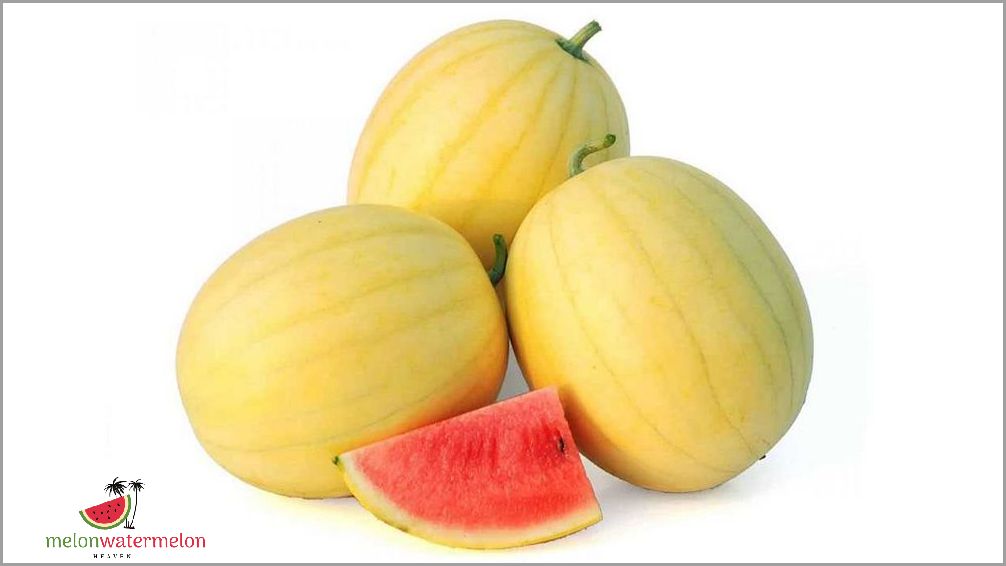 Growing Melon in North Dakota: Tips and Techniques