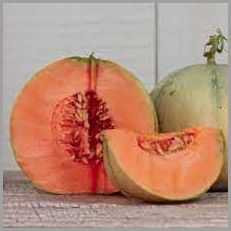 Growing Melon in Vermont - Tips and Tricks for Success