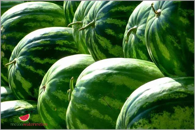 How to Successfully Grow Watermelon in West Virginia