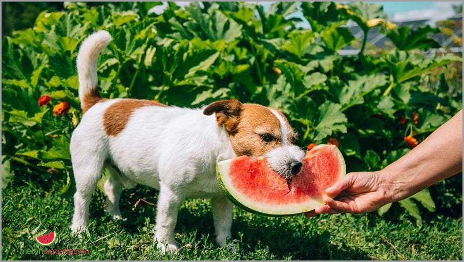 Surprising - Dogs and Bitter Melon – A Match Made in Healthy Heaven or a Toxic Tango?