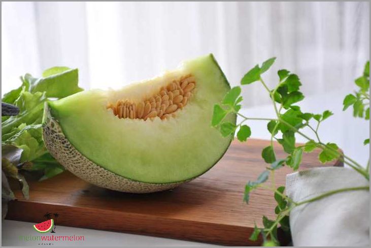 Is Green Melon Safe for Dogs? A Veterinarian Reveals the Truth!