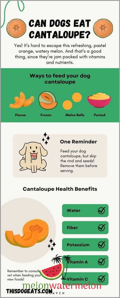 Surprising Secrets Revealed - Can Dogs Really Eat Melon? Find Out Now!