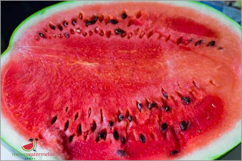 Hidden Health Secrets - Surprising Facts About Eating Watermelon Seeds Revealed!