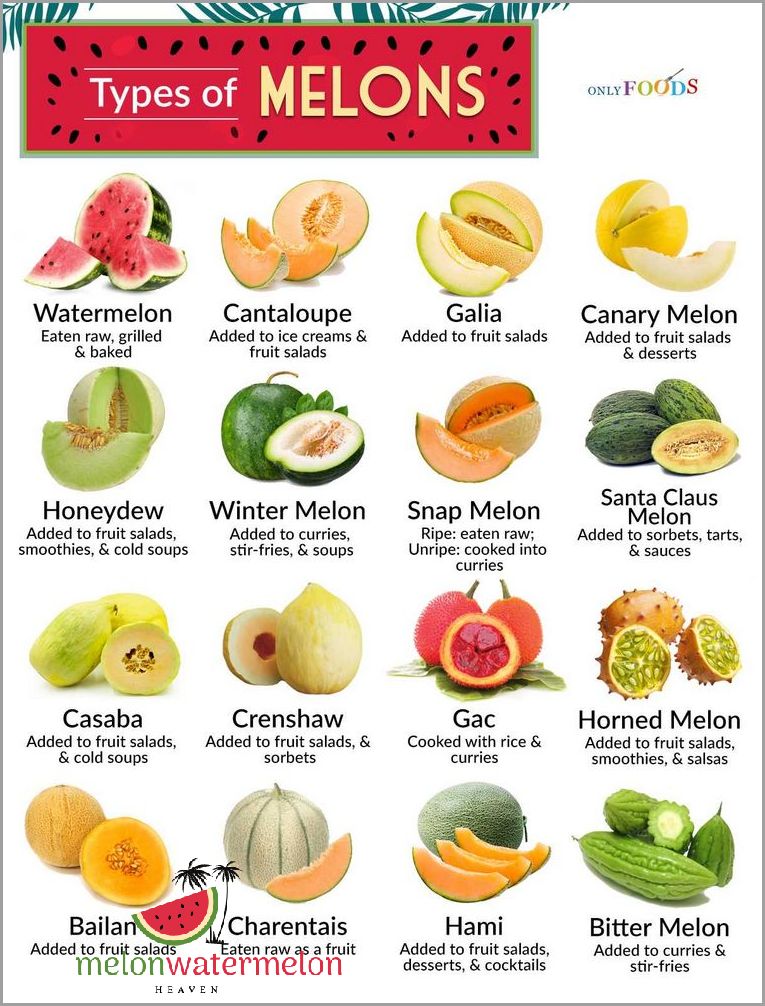 Unveiling the Surprising Diversity of Melons - Which One Will Be Your Next Favorite?