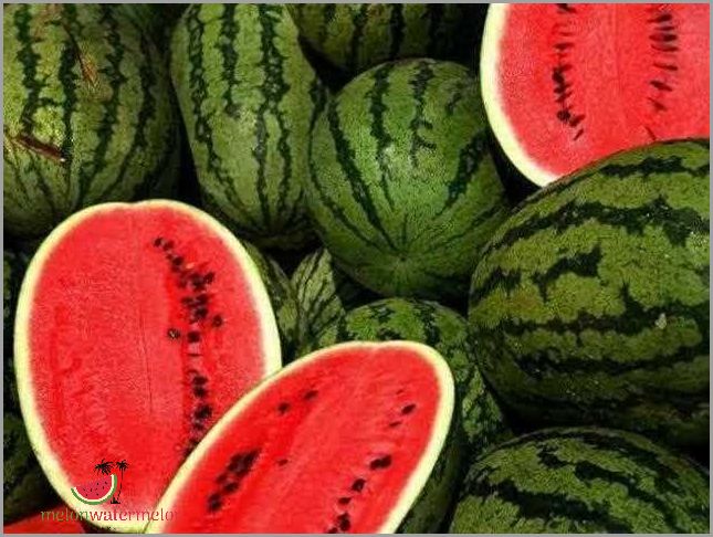 Unbelievable Dreams Are Made of This Juicy Watermelon Trick