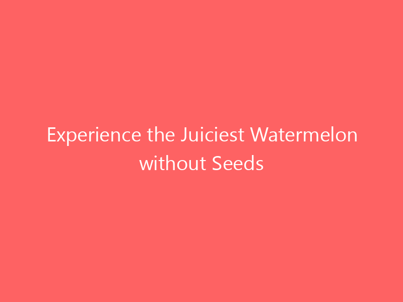 Experience The Juiciest Watermelon Without Seeds The Secret To