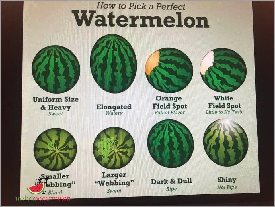 20 Expert Tips to Find the Juiciest Watermelon that Will Blow Your Mind!