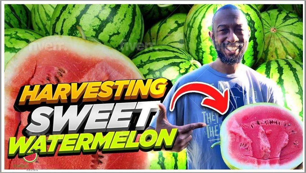Unlock the Juiciest Secrets - Sweeten Your Watermelon to Perfection with These Pro Tips!