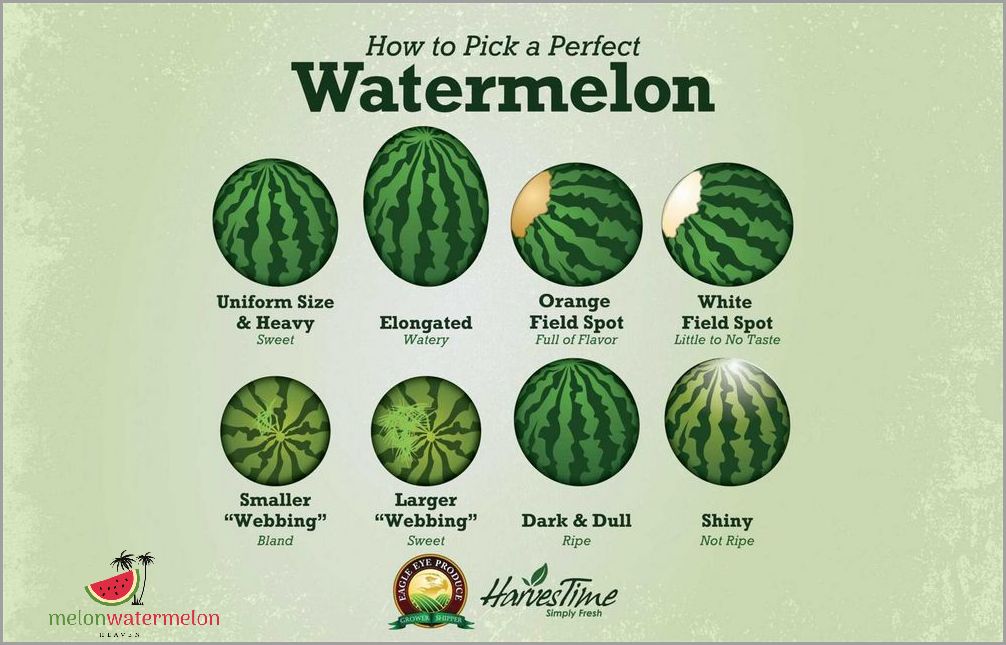 This Surprising Ripe Watermelon Color Will Leave You in Awe!