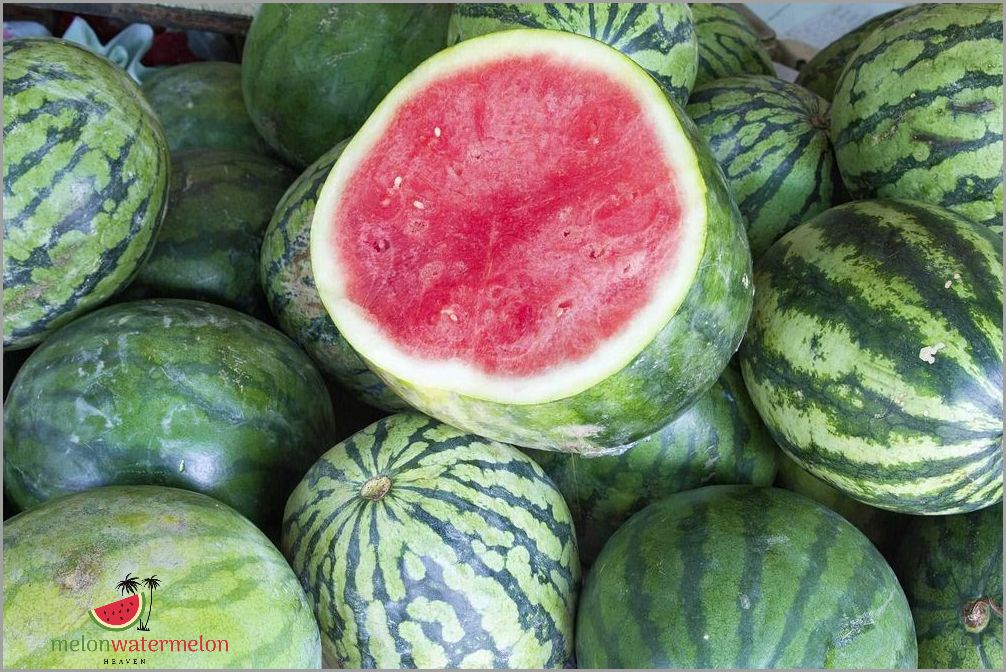 Unbelievable secrets of growing bountiful seedless watermelon seedlings revealed!