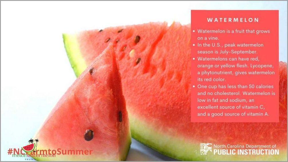 Unbelievable - The Surprising Connection Between Watermelon and Sodium Revealed!