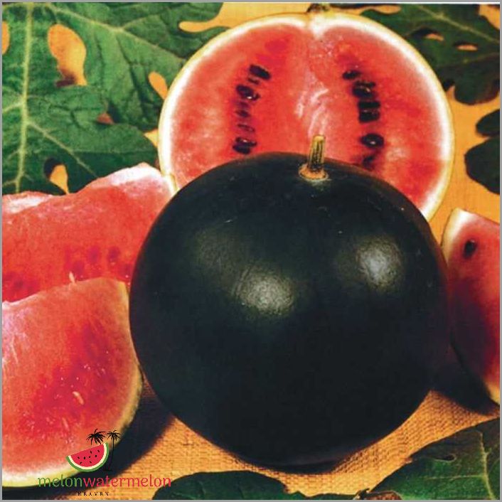 Ditch the Diet - Shocking Truth About Sugar in Watermelon You Need to Know!