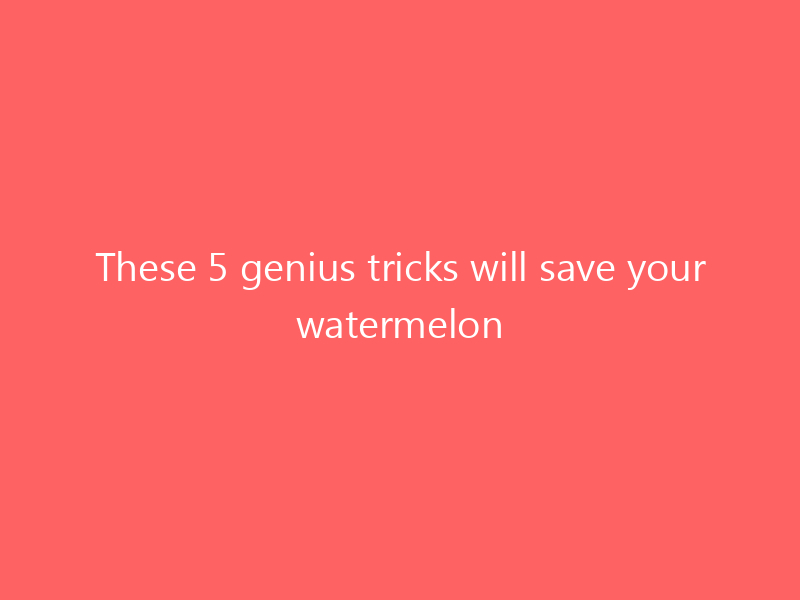 These 5 genius tricks will save your watermelon farm from disaster
