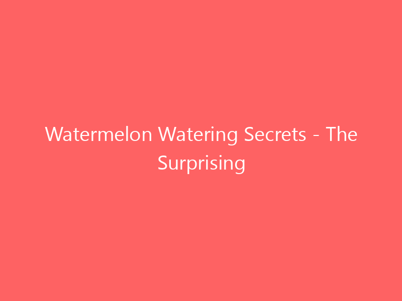 Watermelon Watering Secrets - The Surprising Truth Revealed!
