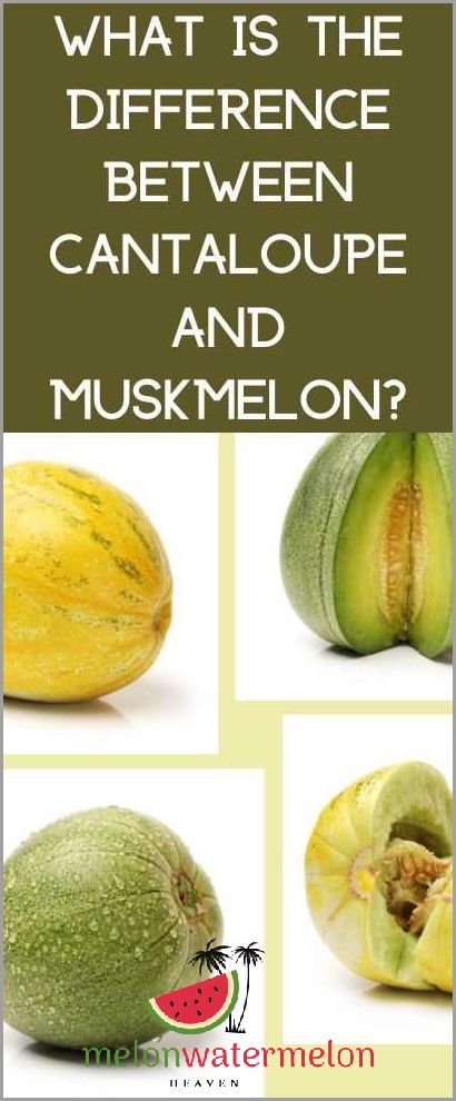 Unbelievable Secrets Revealed - The Hidden Powers of the Mighty Muskmelon