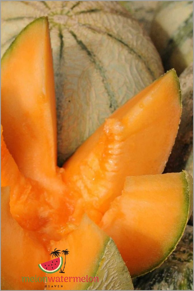 Uncover the Juicy Secrets - The Surprising Story Behind Muskmelon