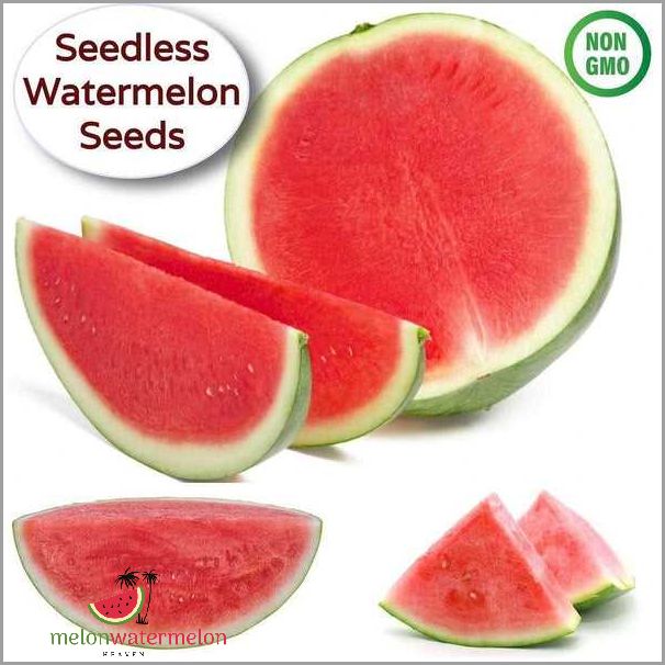 The Surprising Truth Behind Seedless Watermelon - Why They Actually Have Seeds