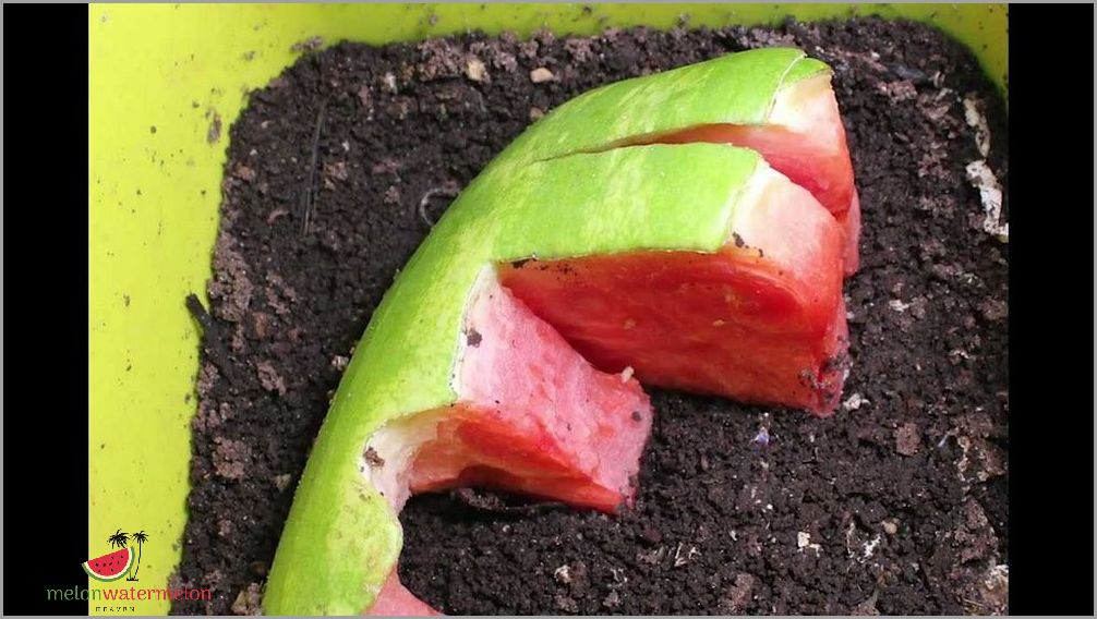 Shocking - Beware of the Hidden Dangers Lurking Inside Your Watermelon!