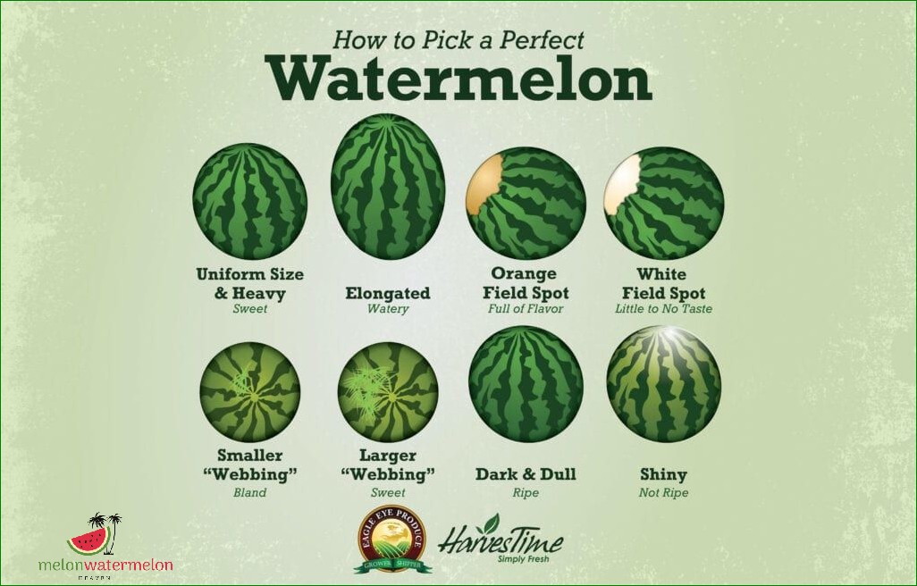 How to Grow Congo Watermelons