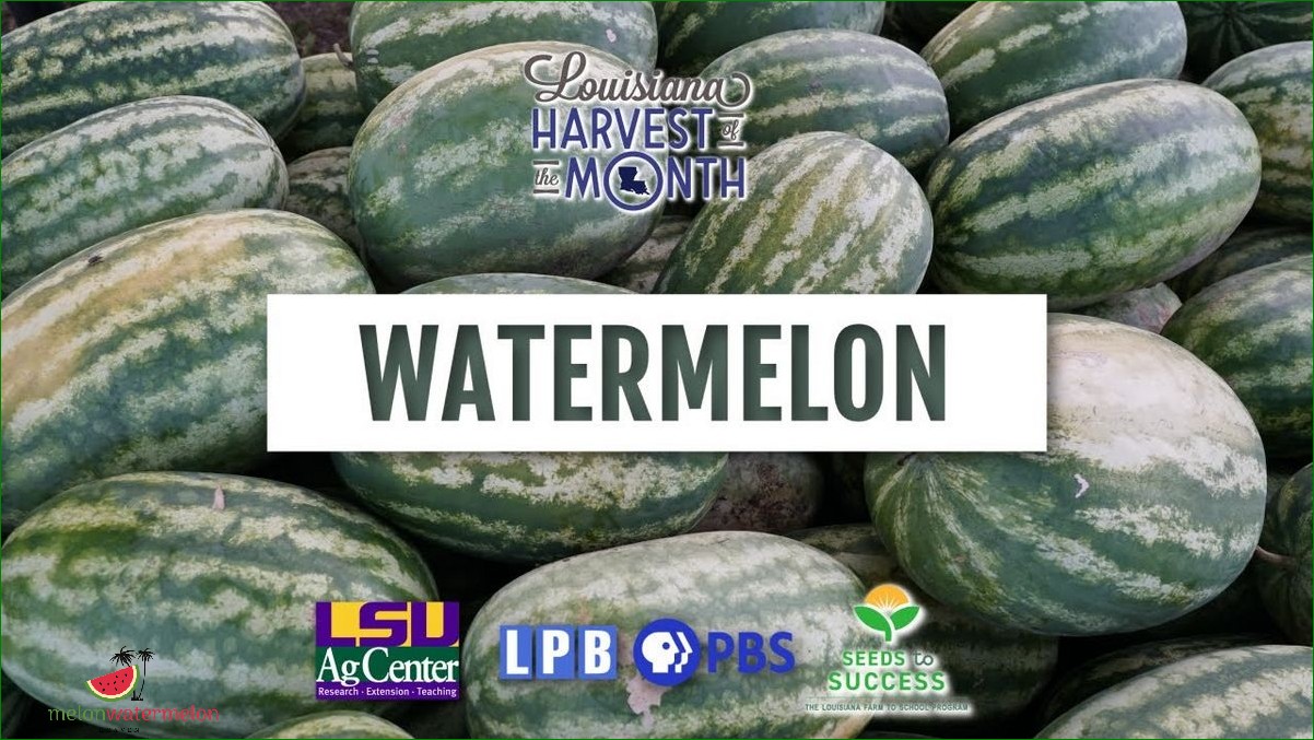 How to Grow Watermelon in Louisiana