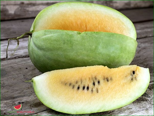 How to Grow Watermelon in Missouri